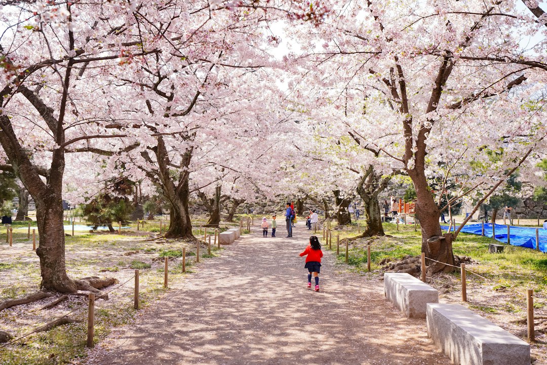 公園を走る小さな子どものイメージ画像（イメージ画像）