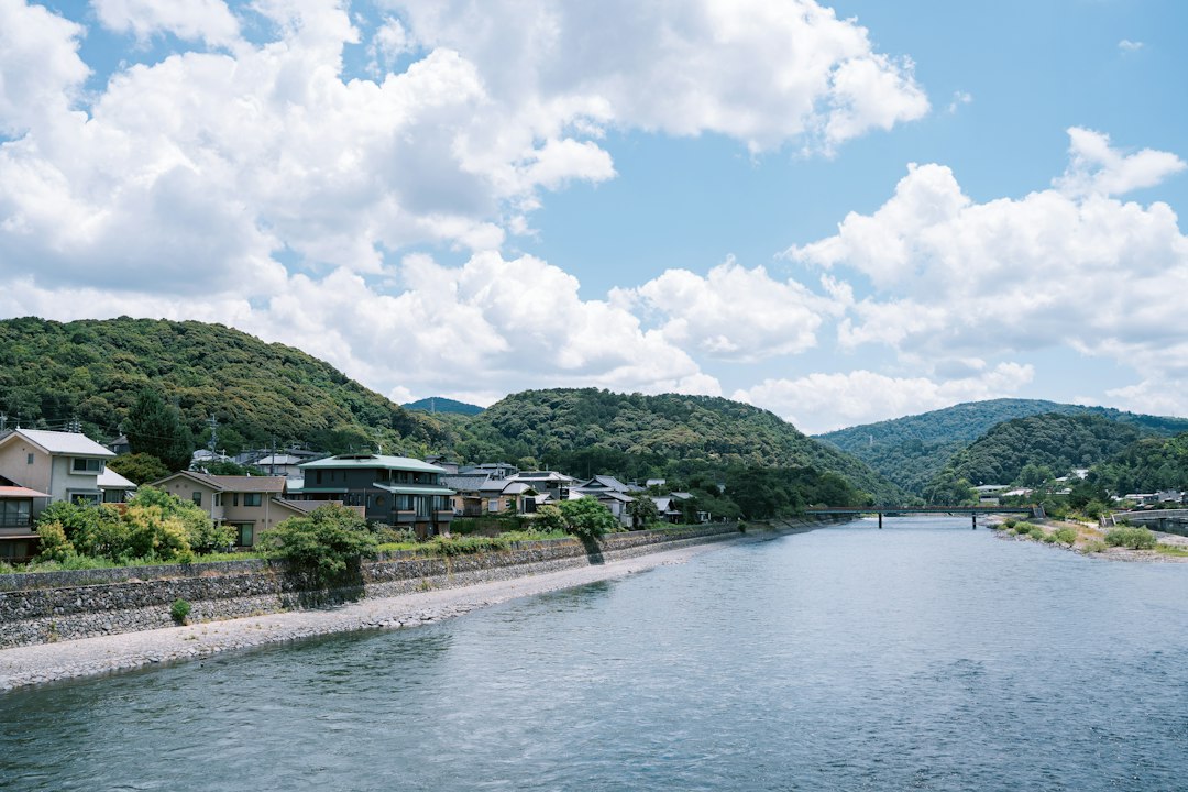 川沿いに家が並ぶ田園風景のイメージ画像(境町の実景ではありません)