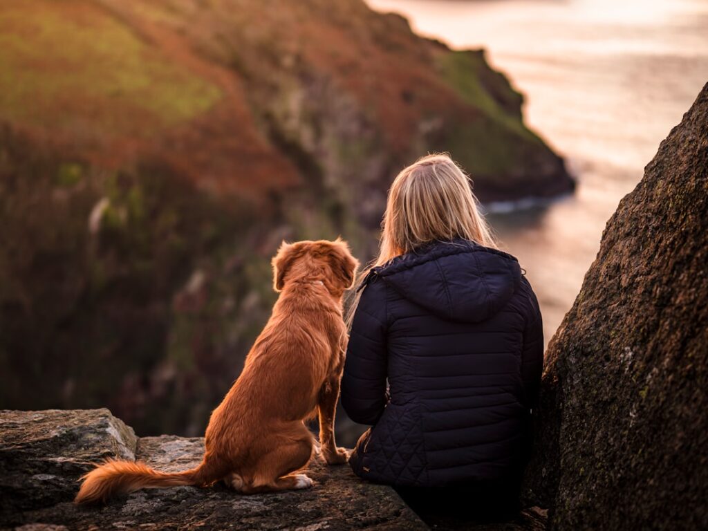 愛犬と一緒に屋外を歩く犬連れ旅行のイメージ