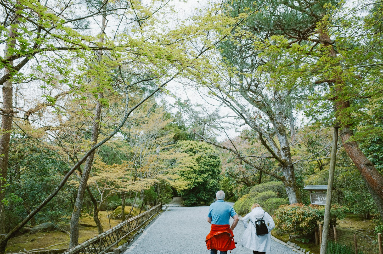 公園の小道を歩く2人のイメージ画像。健診のあとの暮らしのイメージ