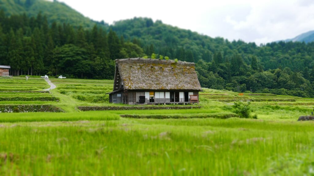 茨城県の田舎の一軒家と緑の風景（移住・田舎暮らしのイメージ画像）