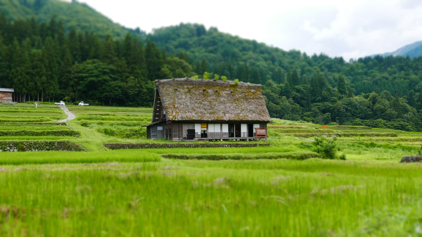 茨城県の田舎の一軒家と緑の風景(移住・田舎暮らしのイメージ画像)