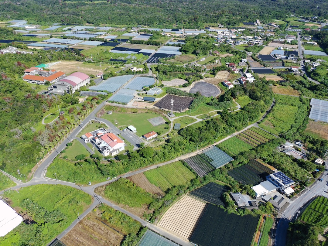 茨城県境町への移住をイメージした、緑の広がる郊外の町並み(イメージ画像)