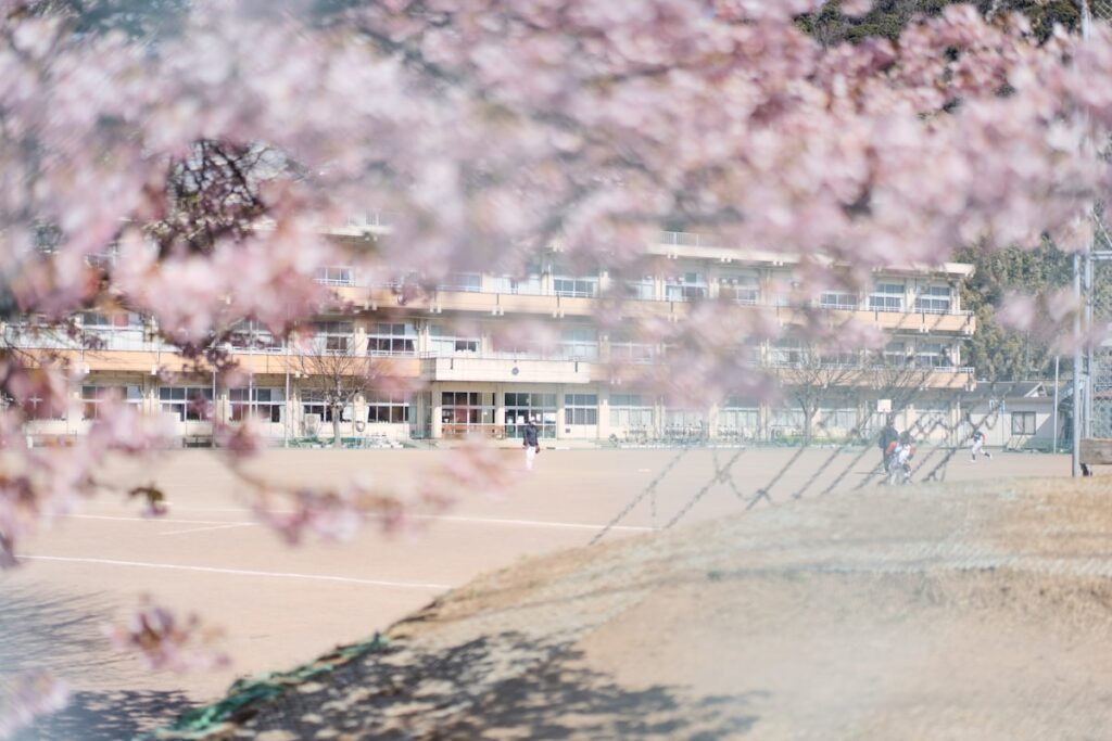 桜と校舎のイメージ画像（境町の実際の学校ではありません）